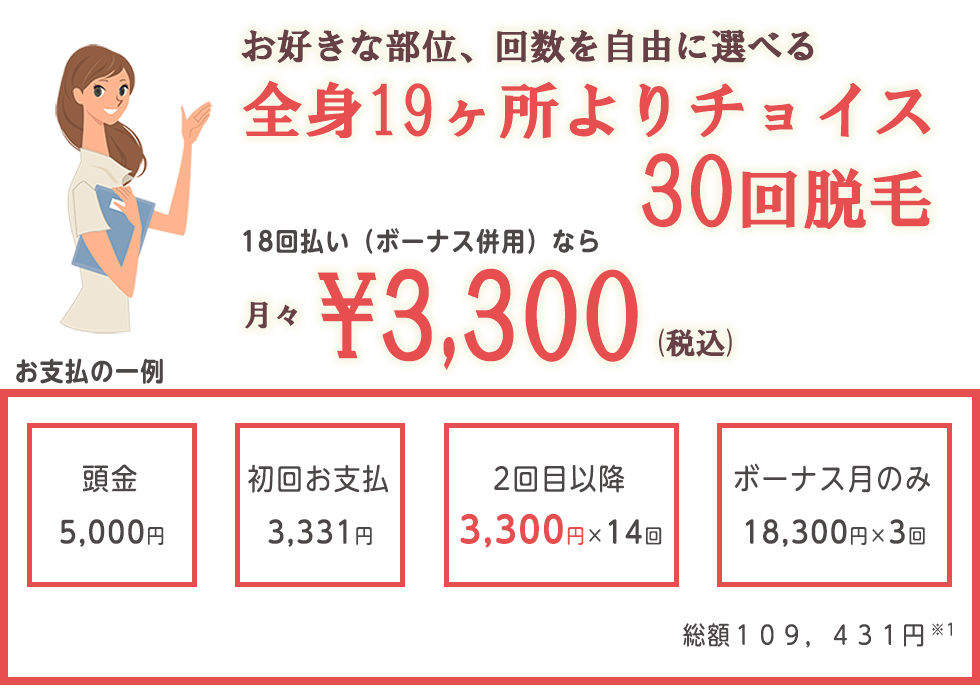 お支払の一例 18回払い（ボーナス併用）